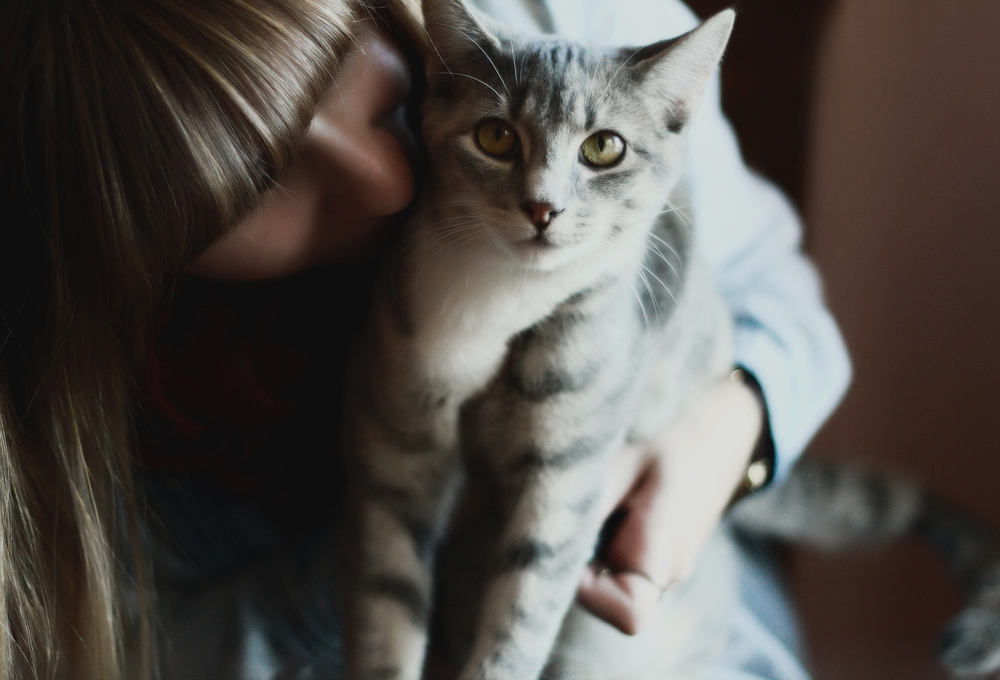 Котенок не ходит в туалет по-большому - как ему помочь?